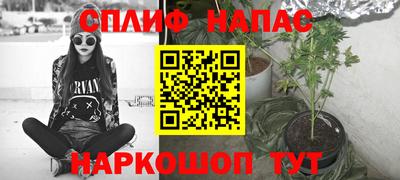 стаф Будённовск