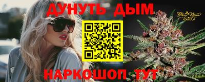 стаф Будённовск