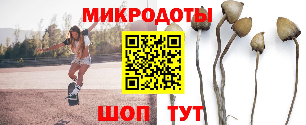 Псилоцибиновые грибы Psilocybine cubensis  Вход с VPN  Холмск 