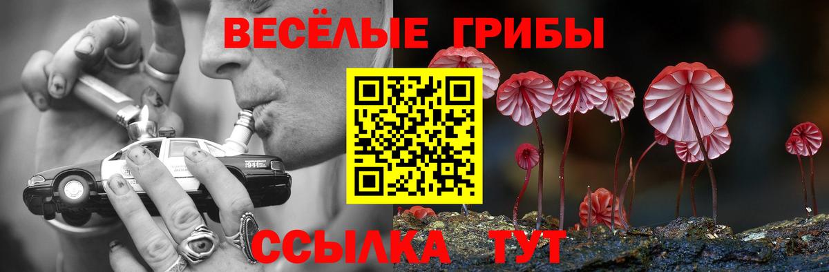 Галлюциногенные грибы GOLDEN TEACHER Холмск